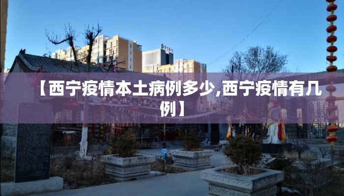【西宁疫情本土病例多少,西宁疫情有几例】