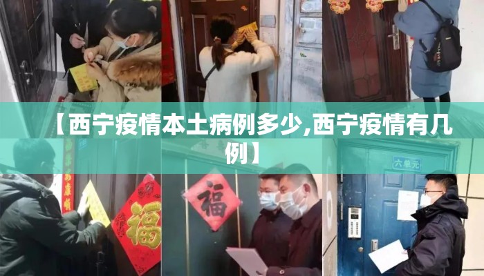 【西宁疫情本土病例多少,西宁疫情有几例】