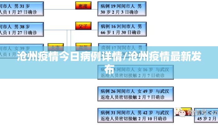 沧州疫情今日病例详情/沧州疫情最新发布