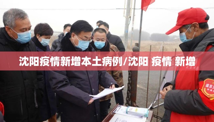沈阳疫情新增本土病例/沈阳 疫情 新增