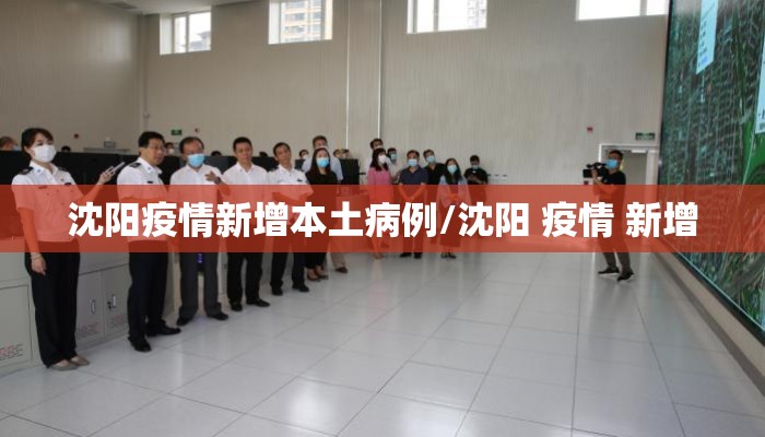 沈阳疫情新增本土病例/沈阳 疫情 新增