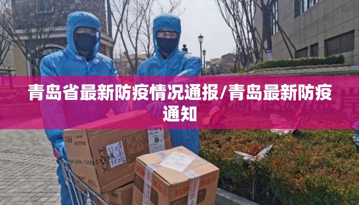 青岛省最新防疫情况通报/青岛最新防疫通知