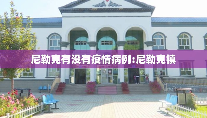 尼勒克有没有疫情病例:尼勒克镇