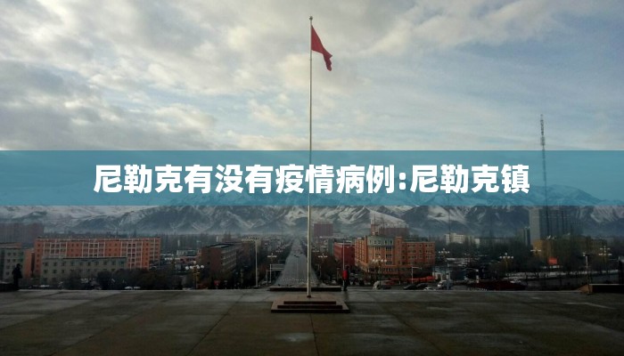 尼勒克有没有疫情病例:尼勒克镇