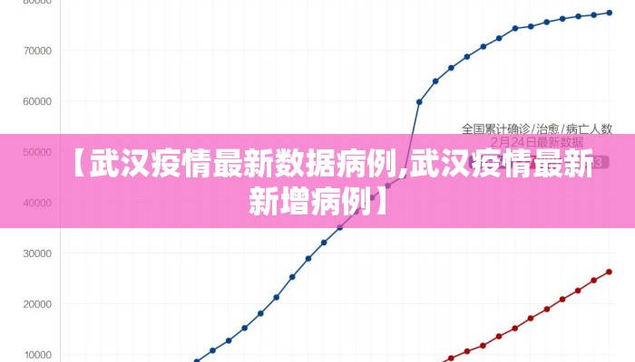 【武汉疫情最新数据病例,武汉疫情最新新增病例】
