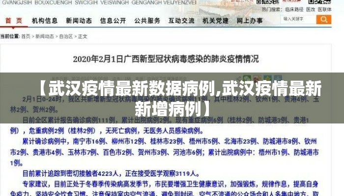 【武汉疫情最新数据病例,武汉疫情最新新增病例】