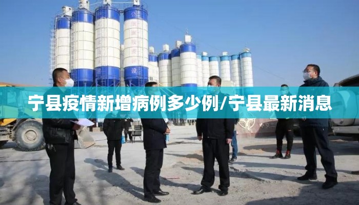 宁县疫情新增病例多少例/宁县最新消息