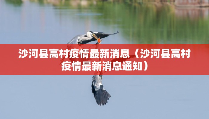 沙河县高村疫情最新消息（沙河县高村疫情最新消息通知）