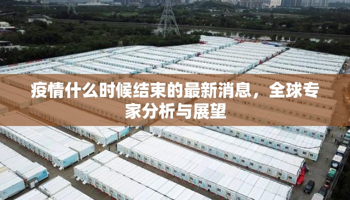 疫情什么时候结束的最新消息，全球专家分析与展望