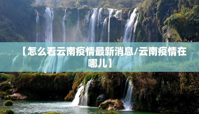 【怎么看云南疫情最新消息/云南疫情在哪儿】