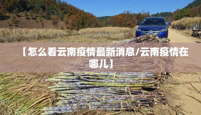 【怎么看云南疫情最新消息/云南疫情在哪儿】