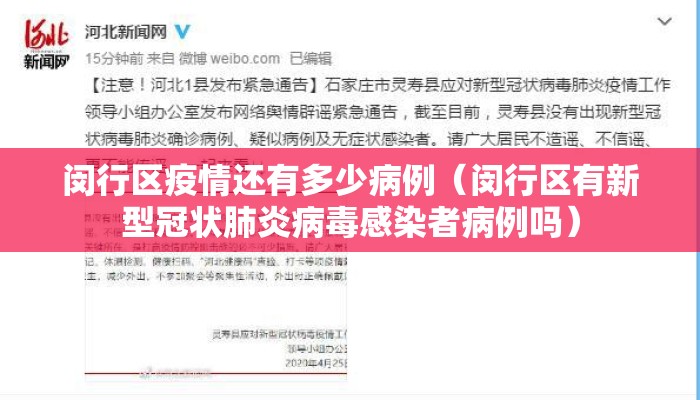 闵行区疫情还有多少病例（闵行区有新型冠状肺炎病毒感染者病例吗）