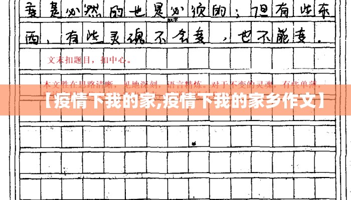 【疫情下我的家,疫情下我的家乡作文】