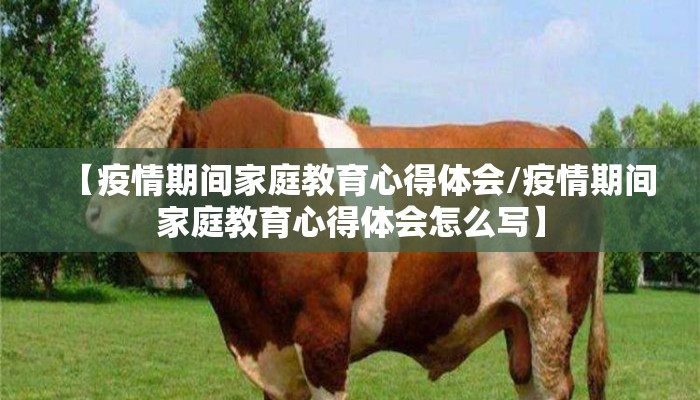 【疫情期间家庭教育心得体会/疫情期间家庭教育心得体会怎么写】