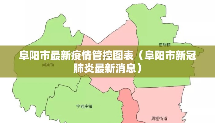 阜阳市最新疫情管控图表（阜阳市新冠肺炎最新消息）