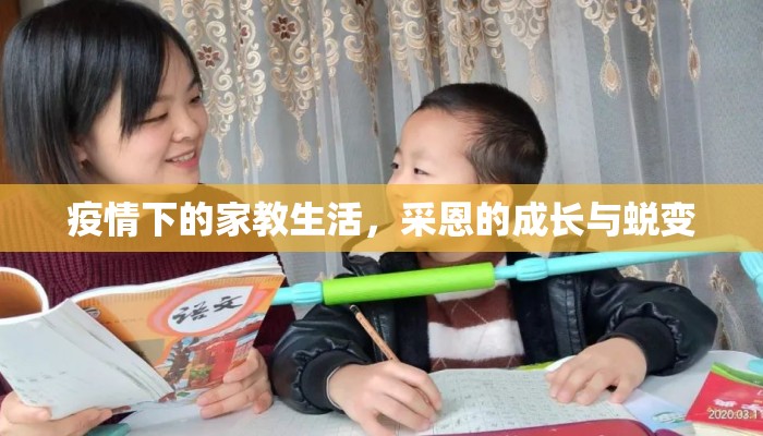 疫情下的家教生活，采恩的成长与蜕变