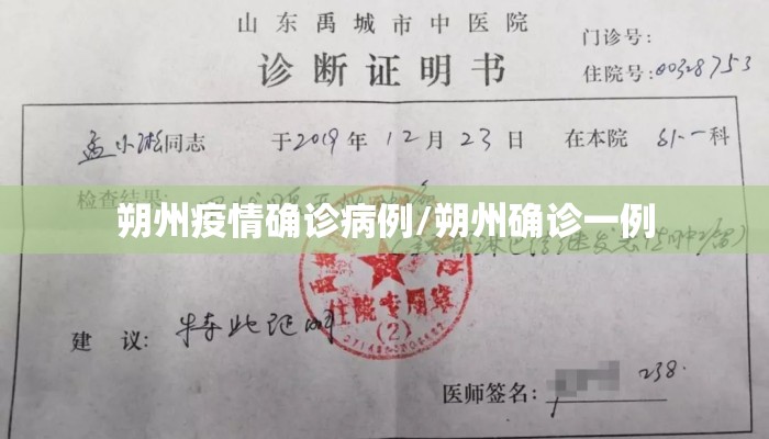 朔州疫情确诊病例/朔州确诊一例