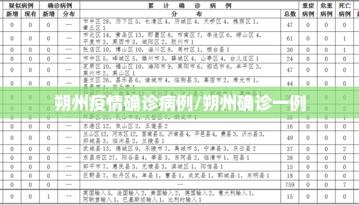 朔州疫情确诊病例/朔州确诊一例