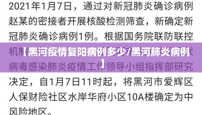 【黑河疫情复阳病例多少/黑河肺炎病例】