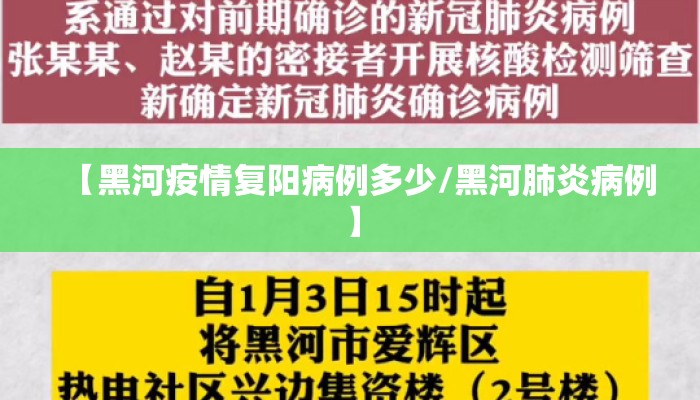 【黑河疫情复阳病例多少/黑河肺炎病例】