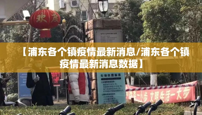 【浦东各个镇疫情最新消息/浦东各个镇疫情最新消息数据】