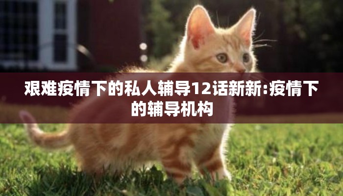 艰难疫情下的私人辅导12话新新:疫情下的辅导机构