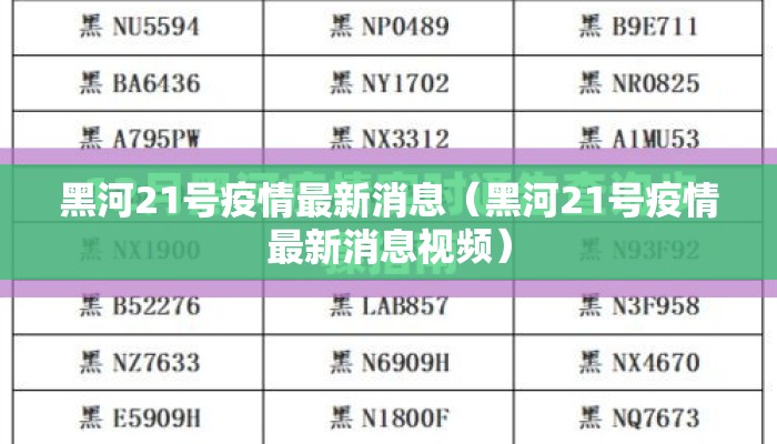 黑河21号疫情最新消息（黑河21号疫情最新消息视频）