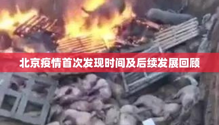 北京疫情首次发现时间及后续发展回顾
