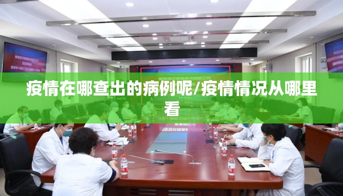 疫情在哪查出的病例呢/疫情情况从哪里看