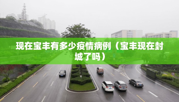 现在宝丰有多少疫情病例（宝丰现在封城了吗）