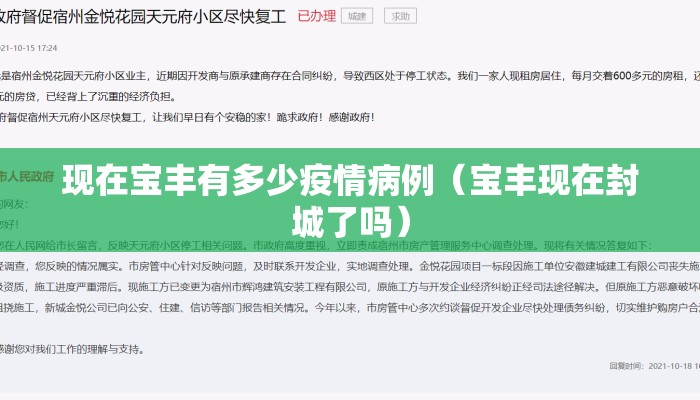 现在宝丰有多少疫情病例（宝丰现在封城了吗）
