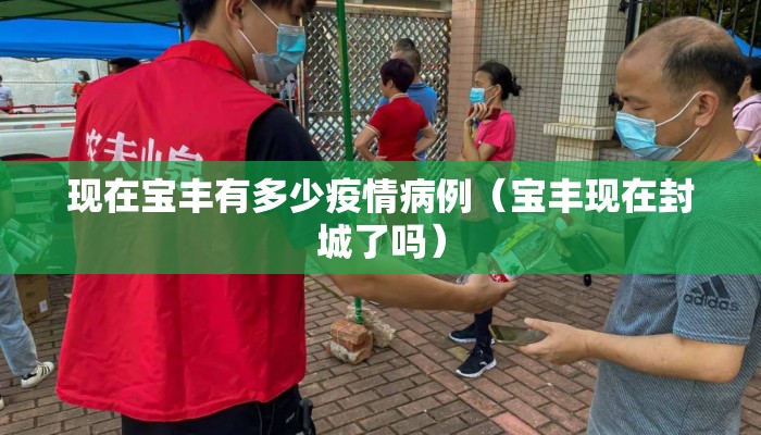 现在宝丰有多少疫情病例（宝丰现在封城了吗）