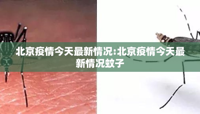 北京疫情今天最新情况:北京疫情今天最新情况蚊子