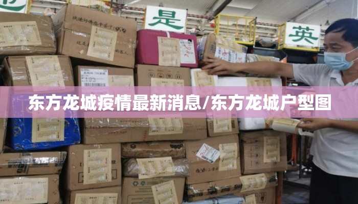东方龙城疫情最新消息/东方龙城户型图
