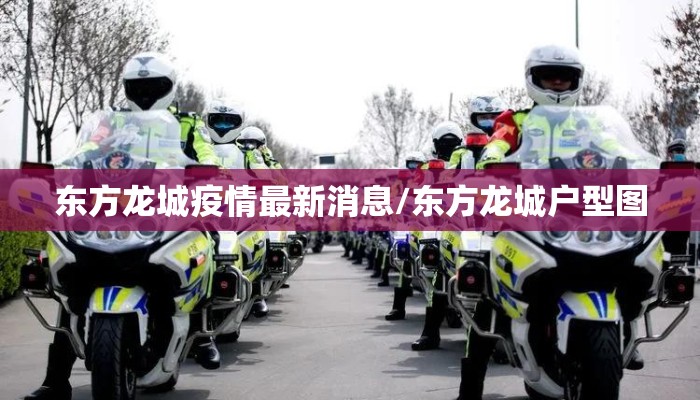 东方龙城疫情最新消息/东方龙城户型图