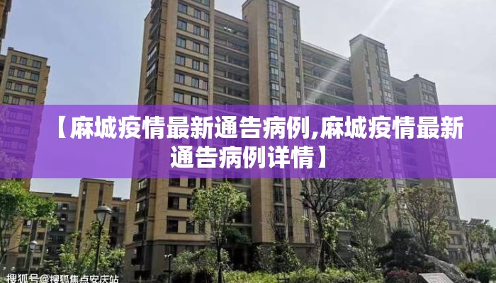 【麻城疫情最新通告病例,麻城疫情最新通告病例详情】