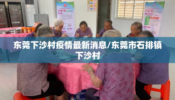东莞下沙村疫情最新消息/东莞市石排镇下沙村