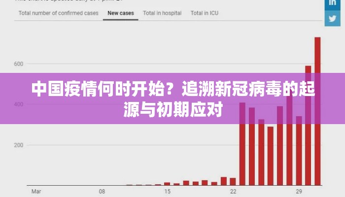 中国疫情何时开始？追溯新冠病毒的起源与初期应对