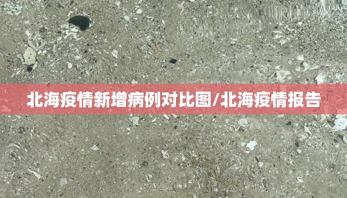 北海疫情新增病例对比图/北海疫情报告
