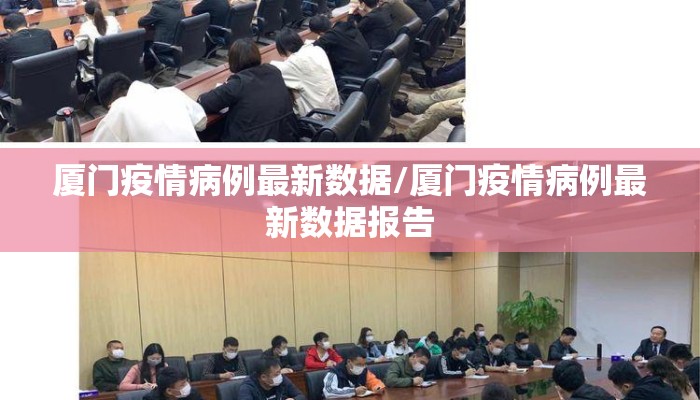 厦门疫情病例最新数据/厦门疫情病例最新数据报告