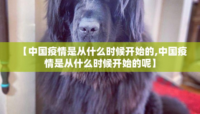 【中国疫情是从什么时候开始的,中国疫情是从什么时候开始的呢】
