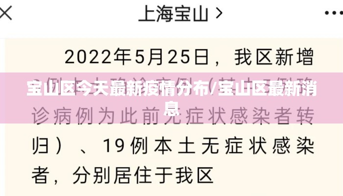 宝山区今天最新疫情分布/宝山区最新消息