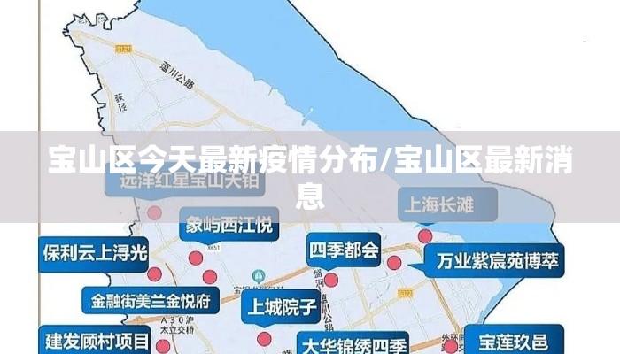 宝山区今天最新疫情分布/宝山区最新消息