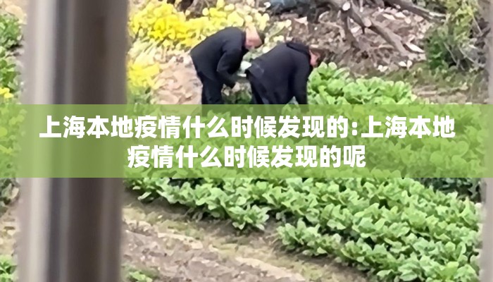 上海本地疫情什么时候发现的:上海本地疫情什么时候发现的呢