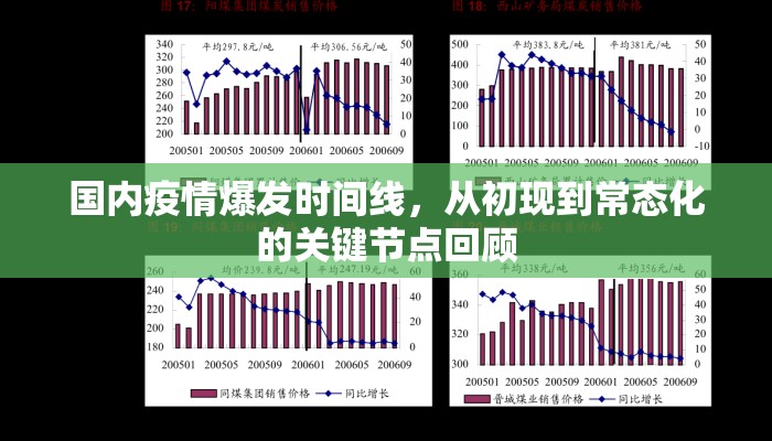 国内疫情爆发时间线，从初现到常态化的关键节点回顾