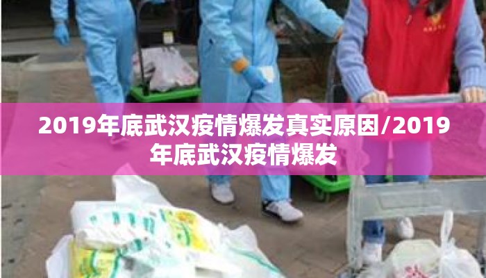 2019年底武汉疫情爆发真实原因/2019年底武汉疫情爆发
