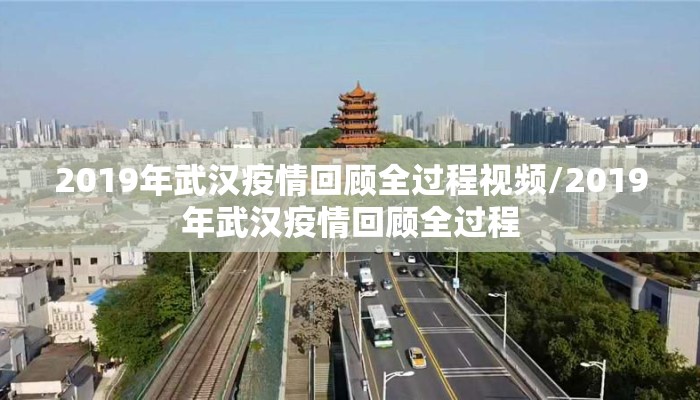 2019年武汉疫情回顾全过程视频/2019年武汉疫情回顾全过程