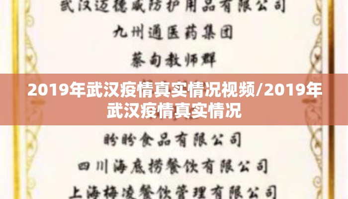 2019年武汉疫情真实情况视频/2019年武汉疫情真实情况