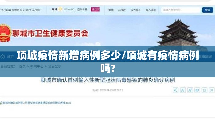 项城疫情新增病例多少/项城有疫情病例吗?