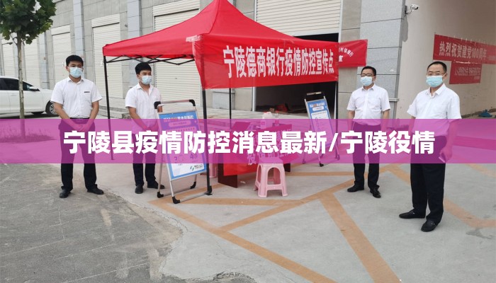 宁陵县疫情防控消息最新/宁陵役情